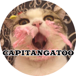Capitangatoopng — STREAMERS PERUANOS EN TWITCH (53) option 6