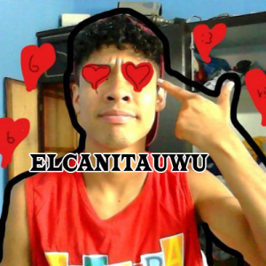 Elcanitauwupng — STREAMERS PERUANOS EN TWITCH (53) option 9