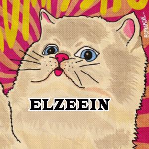 Elzeeinpng — STREAMERS PERUANOS EN TWITCH (53) option 12