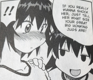 Screenshot20230617200633gallery — Azumanga Ships/Couples option 5
