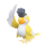 375px 0931squawkabilly2 Yellow — All Paldea/Gen IX Pokémon (Sugimori Art) v2 option 34