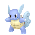0008 Wartortlepng — Every Pokémon (Gen 1-9) (Alternate Forms Included) option 14