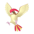 0017 Pidgeottopng — Every Pokémon (Gen 1-9) (Alternate Forms Included) option 28