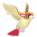 00181 Pidgeotpng — Every Pokémon (Gen 1-9) (Alternate Forms Included) option 29
