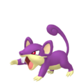 00192 Rattata Femalepng — Every Pokémon (Gen 1-9) (Alternate Forms Included) option 32