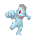 0066 Machoppng — Every Pokémon (Gen 1-9) (Alternate Forms Included) option 113