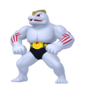0067 Machokepng — Every Pokémon (Gen 1-9) (Alternate Forms Included) option 114