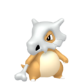 0104 Cubonepng — Every Pokémon (Gen 1-9) (Alternate Forms Included) option 172