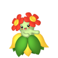 Zzzzz 16737724800182 Bellossompng — Every Pokémon (Gen 1-9) (Alternate Forms Included) option 282