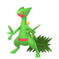 Zzzzz 167377251102541 Sceptilepng — Every Pokémon (Gen 1-9) (Alternate Forms Included) option 410