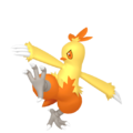 Zzzzz 167377251102562 Combusken Femalepng — Every Pokémon (Gen 1-9) (Alternate Forms Included) option 414