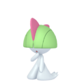 Zzzzz 16737725110280 Raltspng — Every Pokémon (Gen 1-9) (Alternate Forms Included) option 448