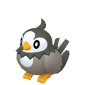 Zzzzz 167377253903962 Starly Femalepng — Every Pokémon (Gen 1-9) (Alternate Forms Included) option 600