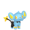 Zzzzz 167377253904032 Shinx Femalepng — Every Pokémon (Gen 1-9) (Alternate Forms Included) option 614