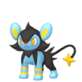 Zzzzz 167377253904042 Luxio Femalepng — Every Pokémon (Gen 1-9) (Alternate Forms Included) option 616