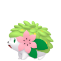 Zzzzz 167377253904921 Shayminpng — Every Pokémon (Gen 1-9) (Alternate Forms Included) option 746