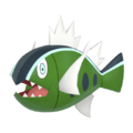 Zzzzz 167377256805503 Basculin Whitepng — Every Pokémon (Gen 1-9) (Alternate Forms Included) option 828
