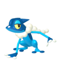 Zzzzz 16737726030657 Frogadierpng — Every Pokémon (Gen 1-9) (Alternate Forms Included) option 964