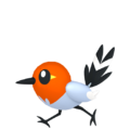 Zzzzz 16737726030661 Fletchlingpng — Every Pokémon (Gen 1-9) (Alternate Forms Included) option 969