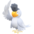 Zzzzz 167452494209314 Squawkabilly Greypng — Every Pokémon (Gen 1-9) (Alternate Forms Included) option 1433