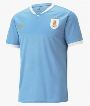H Uruguay Homepng — World Cup 2022 Jerseys (Including Pre Match & 3rd) option 81
