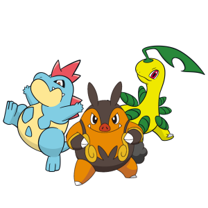 Zzzzz 1772670432037 — Pokémon Starter Trios option 36