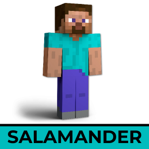 Salamanderpng — CSM SSBU Community ver. 4.1 Tier List option 107