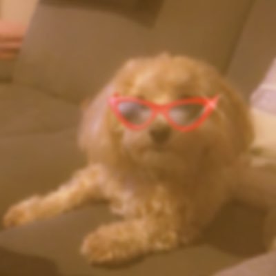 Create A Biceps Exercise Tier List Tiermaker