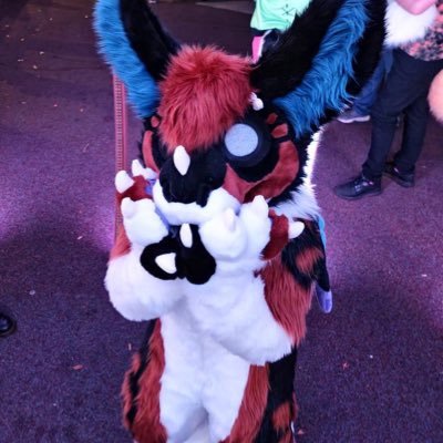 Create a Pookio’s Fursona Ranking Tier List - TierMaker