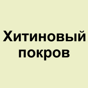 Image 84png — ТИР-ЛИСТ ТРЕКОВ ОКСИМИРОНА option 100