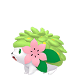 Zz1603583145pokeicon0492000ukn00000000fnpng — [ALL 898 POKEMON] OUTDATED CHECK DESCRIPTION option 606