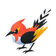 Zz1603583250pokeicon0662000mfn00000000fnpng — [ALL 898 POKEMON] OUTDATED CHECK DESCRIPTION option 797