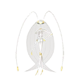 Zz1603583360pokeicon0795000ukn00000000fnpng — [ALL 898 POKEMON] OUTDATED CHECK DESCRIPTION option 944