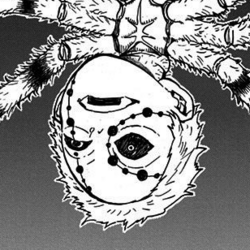 Brotherspiderppng — Kimetsu no Yaiba characters option 4