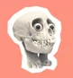 Zzzzz 1697954237fb4skull — "The Jackbox Party Pack" Playable Characters option 259
