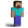 73px Stevessbupng — 200 Nintendo Characters (Mario + Smash + more) option 179