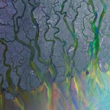 Zz1582552888albummedium273844fe39142a7138jpg — 2010's albums option 115