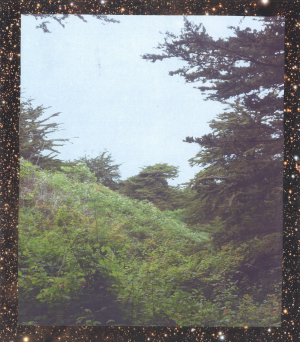 Elect138jpg — 2010s Electronic, Ambient & Experimental Music REUPLOAD option 41