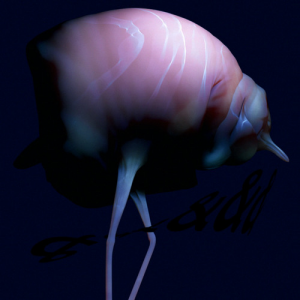 Elect94jpg — 2010s Electronic, Ambient & Experimental Music REUPLOAD option 188