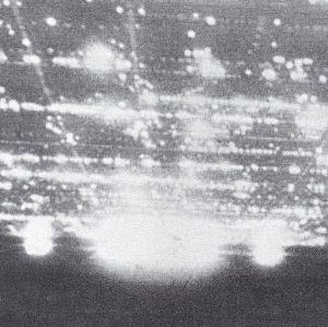Goat 300jpg — 2010s Electronic, Ambient & Experimental Music REUPLOAD option 212
