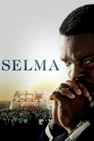 43jpg — 2010s Oscar Best Picture Nominees option 43