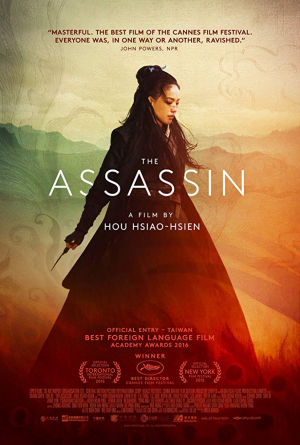 The Assassinjpg — 2015 Movies option 93