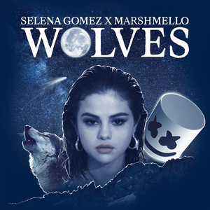 Selenagomezandmarshmellowolvesjpg — 2018 Billboard Year End Hot 100 hits option 78