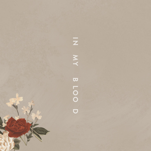 Shawnmendesinmybloodpng — 2018 Billboard Year End Hot 100 hits option 80