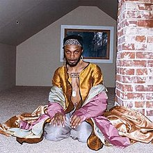 220px Jpegmafiaamhac1jpg — 2019 Rap Albums option 4
