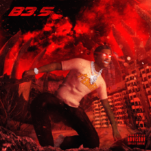 Bawskee35png — 2019 Rap Albums option 25