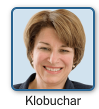 Screen Shot 2019 06 27 At 91355 Pmpng — 2020 U.S. Presidential Candidates option 14