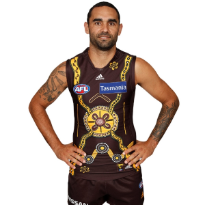 Hawthorn 2021jpg — 2021 AFL Indigenous Jumperss option 14