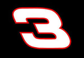3jpg — 2021 NASCAR Cup Series Drivers option 21