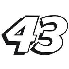 43jpg — 2021 NASCAR Cup Series Drivers option 24